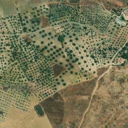 Satellite imagery of survey_point, DZ