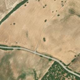 Satellite imagery of survey_point, DZ
