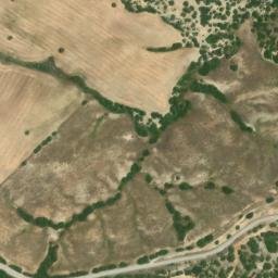 Satellite imagery of survey_point, DZ