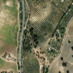 Satellite imagery of survey_point, DZ