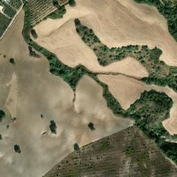 Satellite imagery of survey_point, DZ