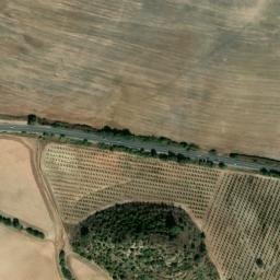 Satellite imagery of survey_point, DZ