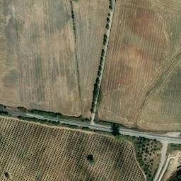 Satellite imagery of survey_point, DZ