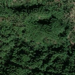 Satellite imagery of survey_point, DZ