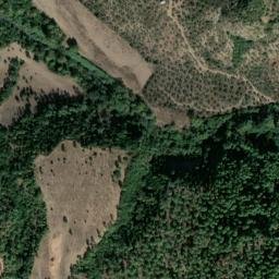 Satellite imagery of survey_point, DZ