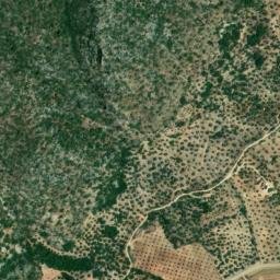 Satellite imagery of survey_point, DZ