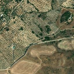 Satellite imagery of survey_point, DZ