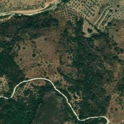 Satellite imagery of survey_point, DZ