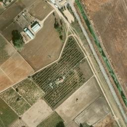 Satellite imagery of survey_point, DZ