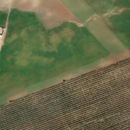 Satellite imagery of survey_point, DZ