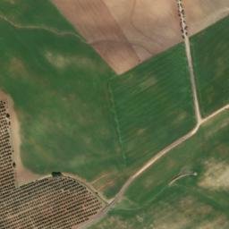 Satellite imagery of survey_point, DZ