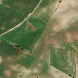 Satellite imagery of survey_point, DZ
