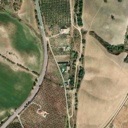 Satellite imagery of survey_point, DZ