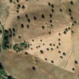 Satellite imagery of survey_point, DZ