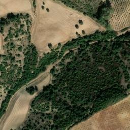 Satellite imagery of survey_point, DZ