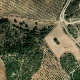 Satellite imagery of survey_point, DZ