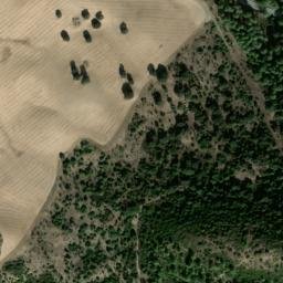 Satellite imagery of survey_point, DZ