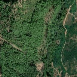 Satellite imagery of survey_point, DZ