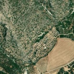 Satellite imagery of survey_point, DZ