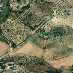 Satellite imagery of survey_point, DZ