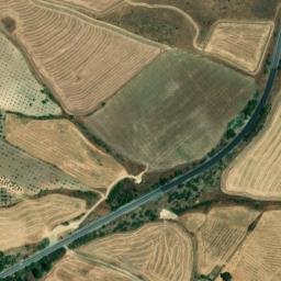 Satellite imagery of survey_point, DZ