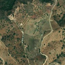 Satellite imagery of survey_point, DZ