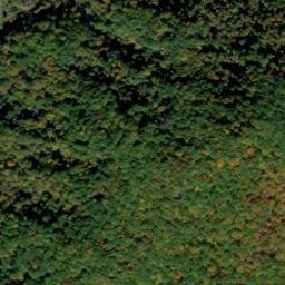 Satellite imagery of Buckhorn Ridge, US