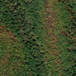Satellite imagery of Buckhorn Ridge, US