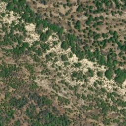 Satellite imagery of survey_point, DZ