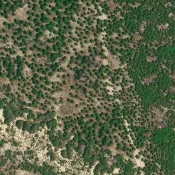 Satellite imagery of survey_point, DZ