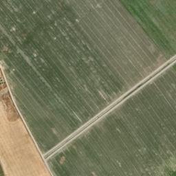 Satellite imagery of survey_point, DZ