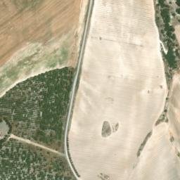 Satellite imagery of survey_point, DZ
