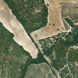 Satellite imagery of survey_point, DZ