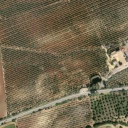 Satellite imagery of survey_point, DZ