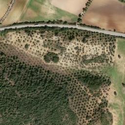 Satellite imagery of survey_point, DZ