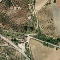Satellite imagery of survey_point, DZ