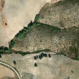 Satellite imagery of survey_point, DZ