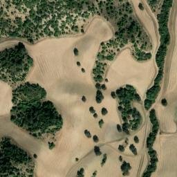 Satellite imagery of survey_point, DZ