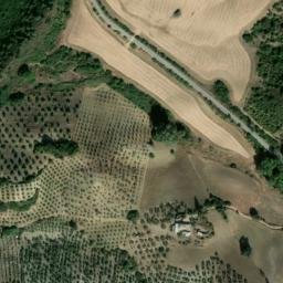 Satellite imagery of survey_point, DZ