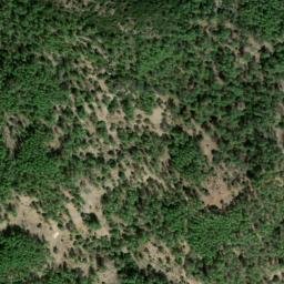 Satellite imagery of survey_point, DZ