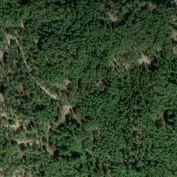Satellite imagery of survey_point, DZ
