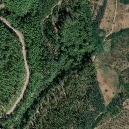 Satellite imagery of survey_point, DZ