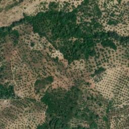 Satellite imagery of survey_point, DZ