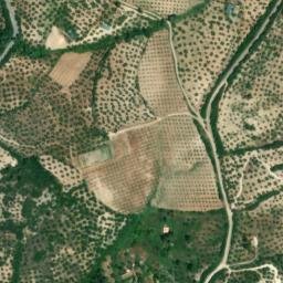 Satellite imagery of survey_point, DZ