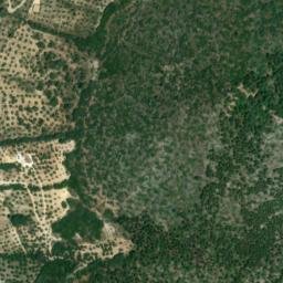 Satellite imagery of survey_point, DZ