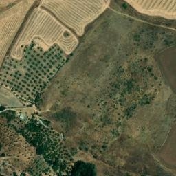 Satellite imagery of survey_point, DZ