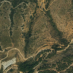 Satellite imagery of survey_point, DZ