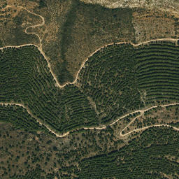 Satellite imagery of survey_point, DZ