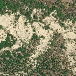 Satellite imagery of survey_point, DZ