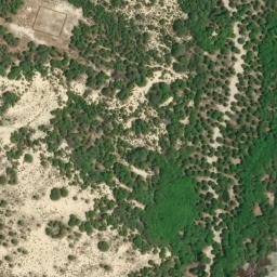 Satellite imagery of survey_point, DZ